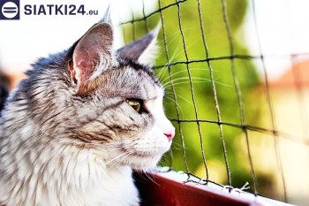 Siatki Złocieniec - Siatka na balkony dla kota i zabezpieczenie dzieci dla terenów Złocieńca